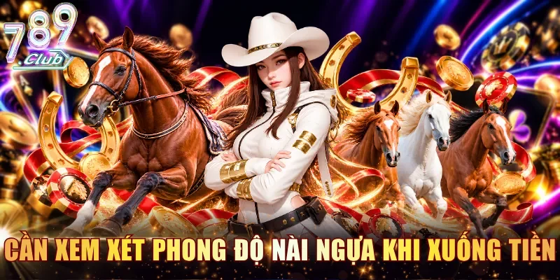 Bạn cần xem xét phong độ nài ngựa trước khi xuống tiền