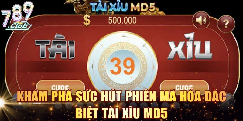 Khám phá sức hút phiên mã hóa đặc biệt tài xĩu MD5