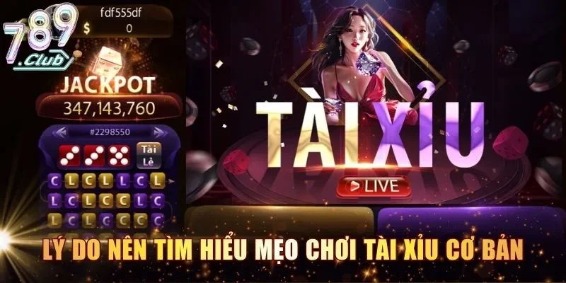 Lý do nên tìm hiểu mẹo chơi tài xỉu cơ bản