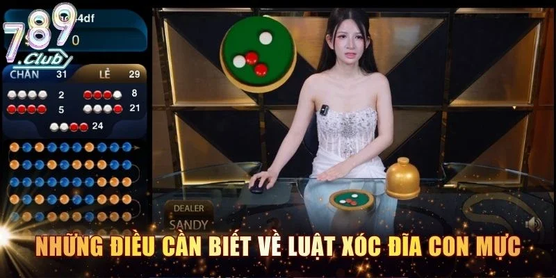 Những điều cần biết về luật xóc đĩa con mực